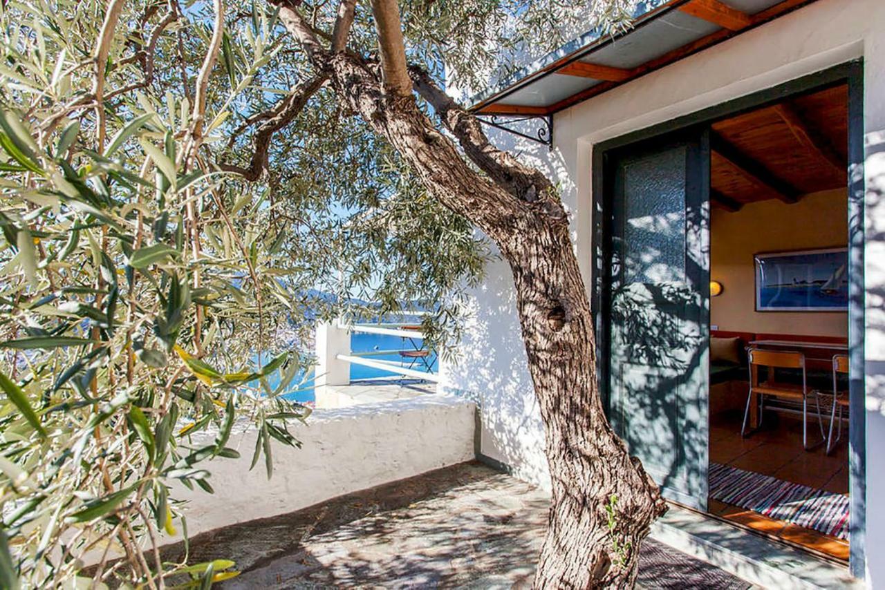 Villa Kalypso And Villa Kirki Skopelos stad Exteriör bild